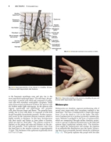 تصویر  Local Flaps in Facial Reconstruction 4e 2022
