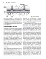 تصویر  Local Flaps in Facial Reconstruction 4e 2022