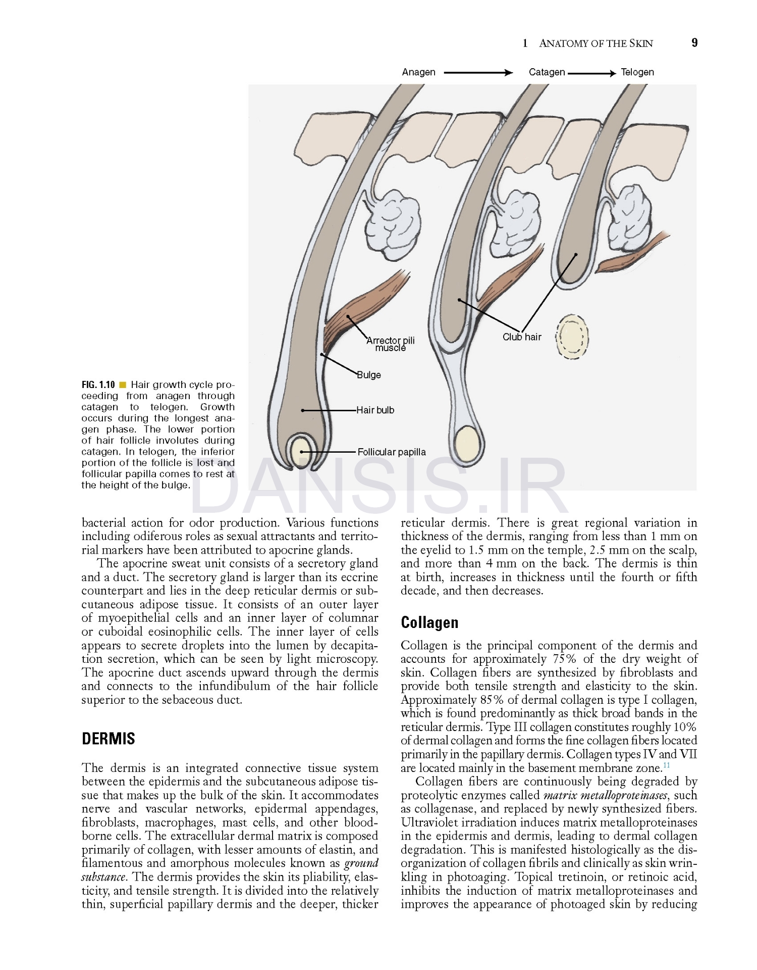 تصویر  Local Flaps in Facial Reconstruction 4e 2022