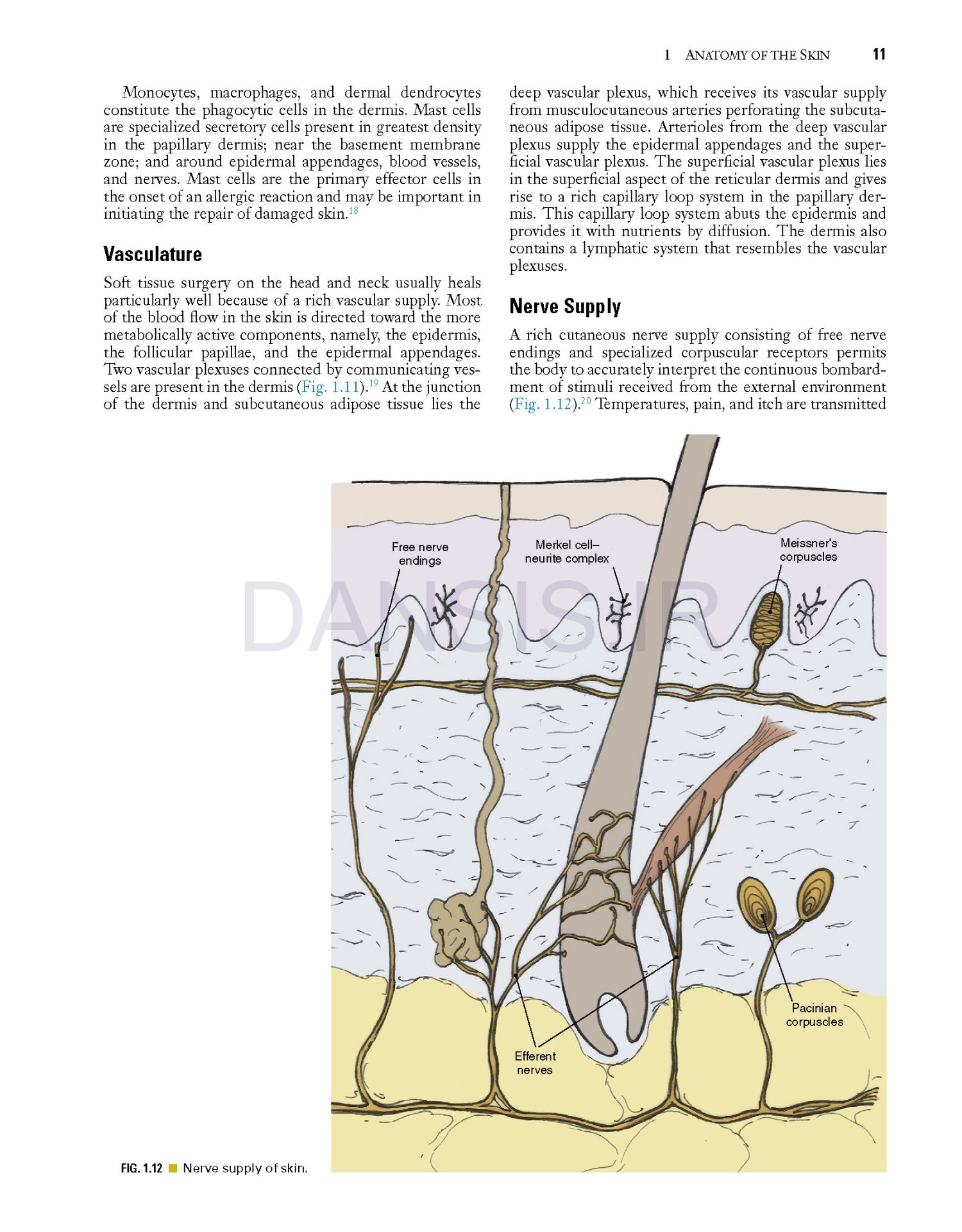 تصویر  Local Flaps in Facial Reconstruction 4e 2022