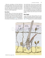 تصویر  Local Flaps in Facial Reconstruction 4e 2022