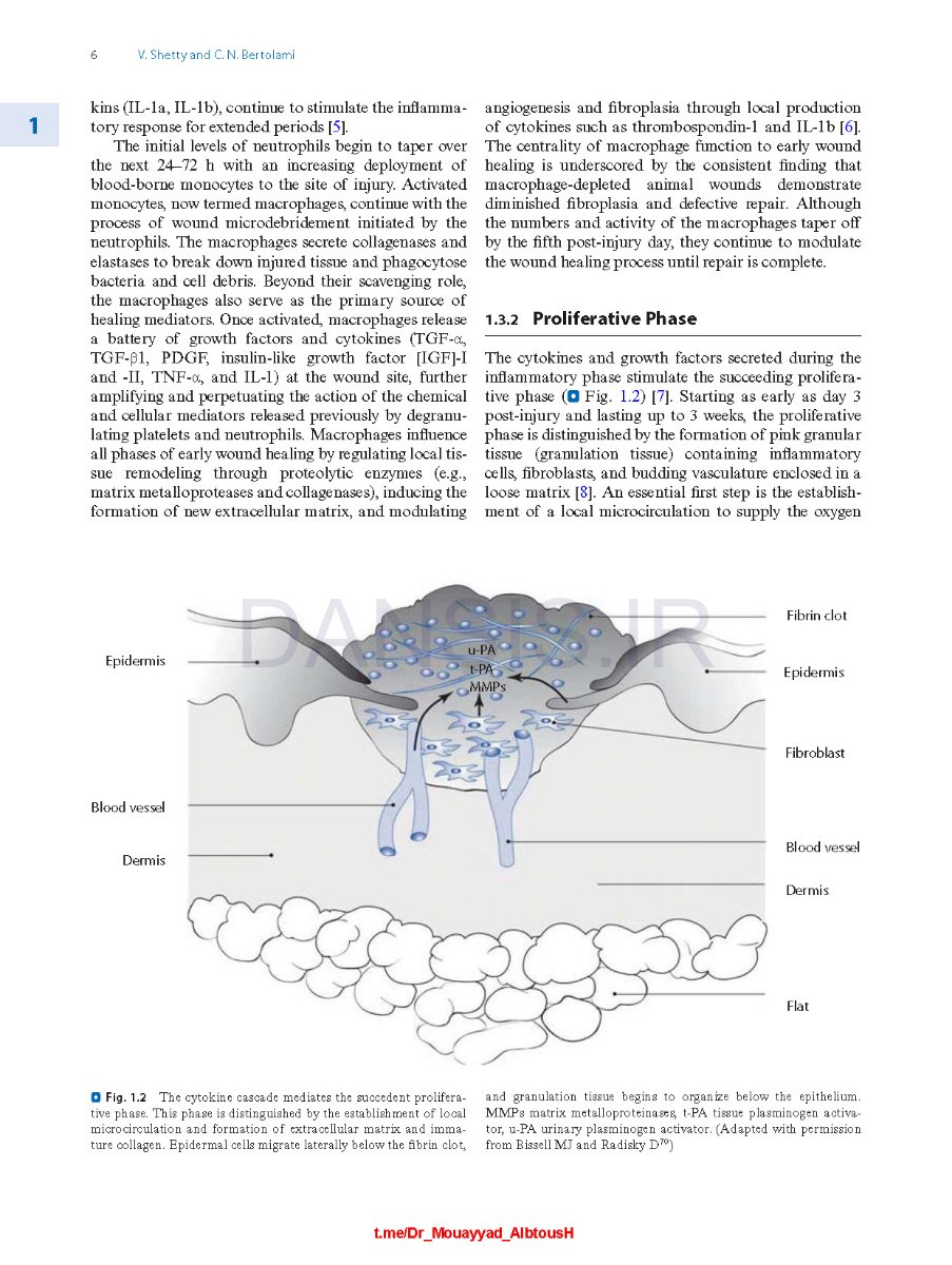 تصویر  Peterson’s Principles of Oral and Maxillofacial Surgery