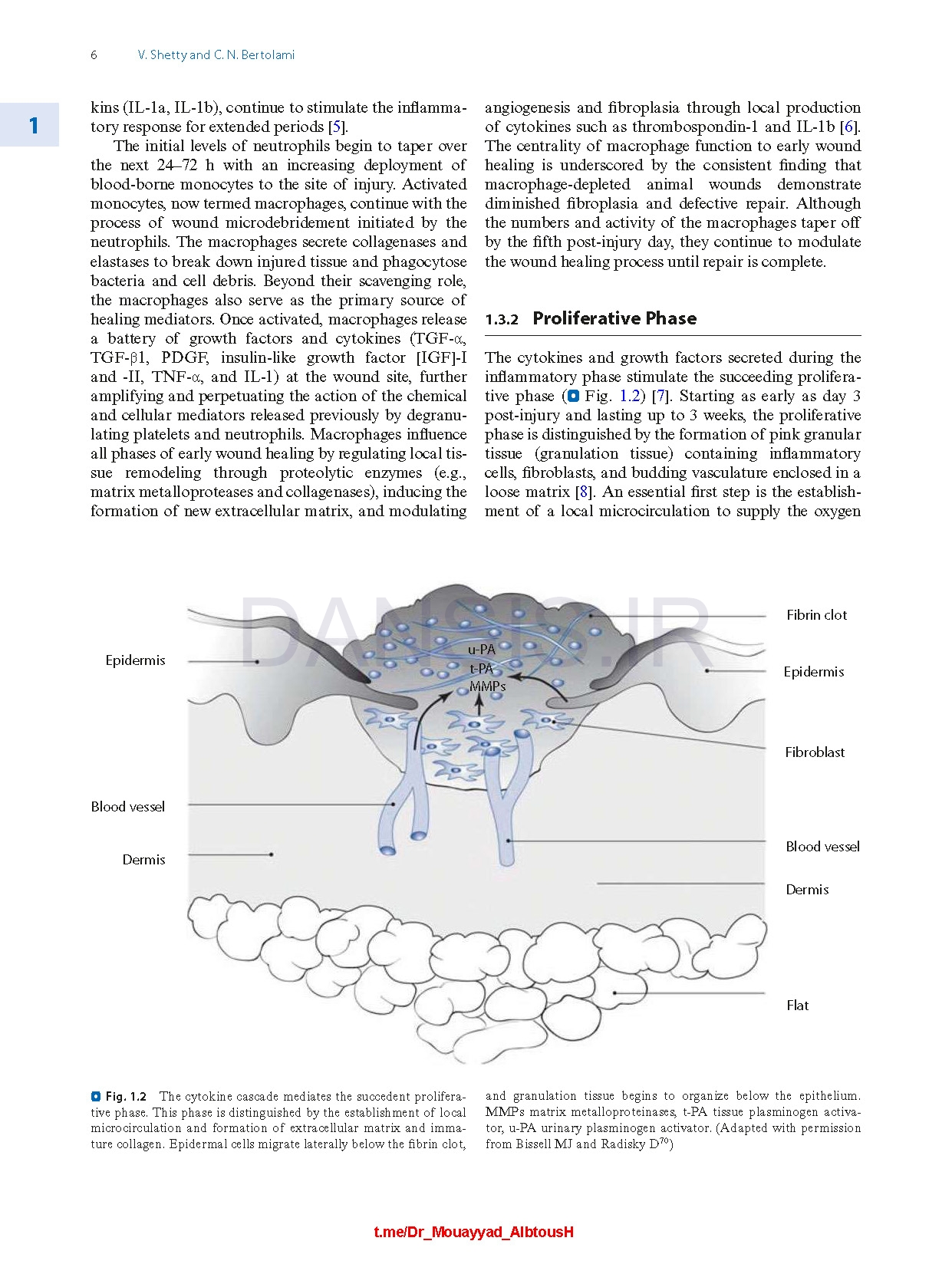 تصویر  Peterson’s Principles of Oral and Maxillofacial Surgery