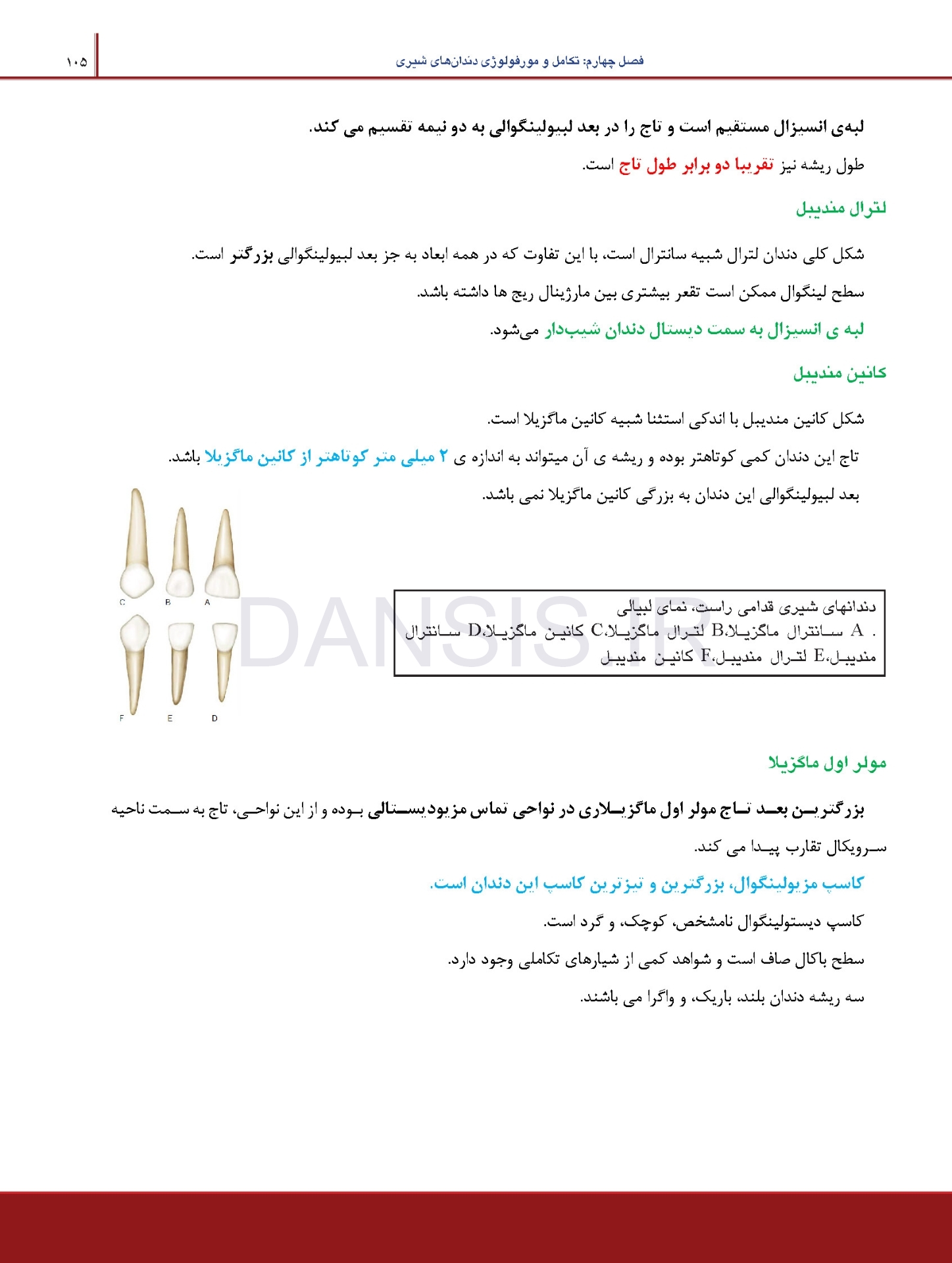 تصویر  درسنامه دندانپزشکی کودکان مک دونالد 2021 جلد 1 و 2