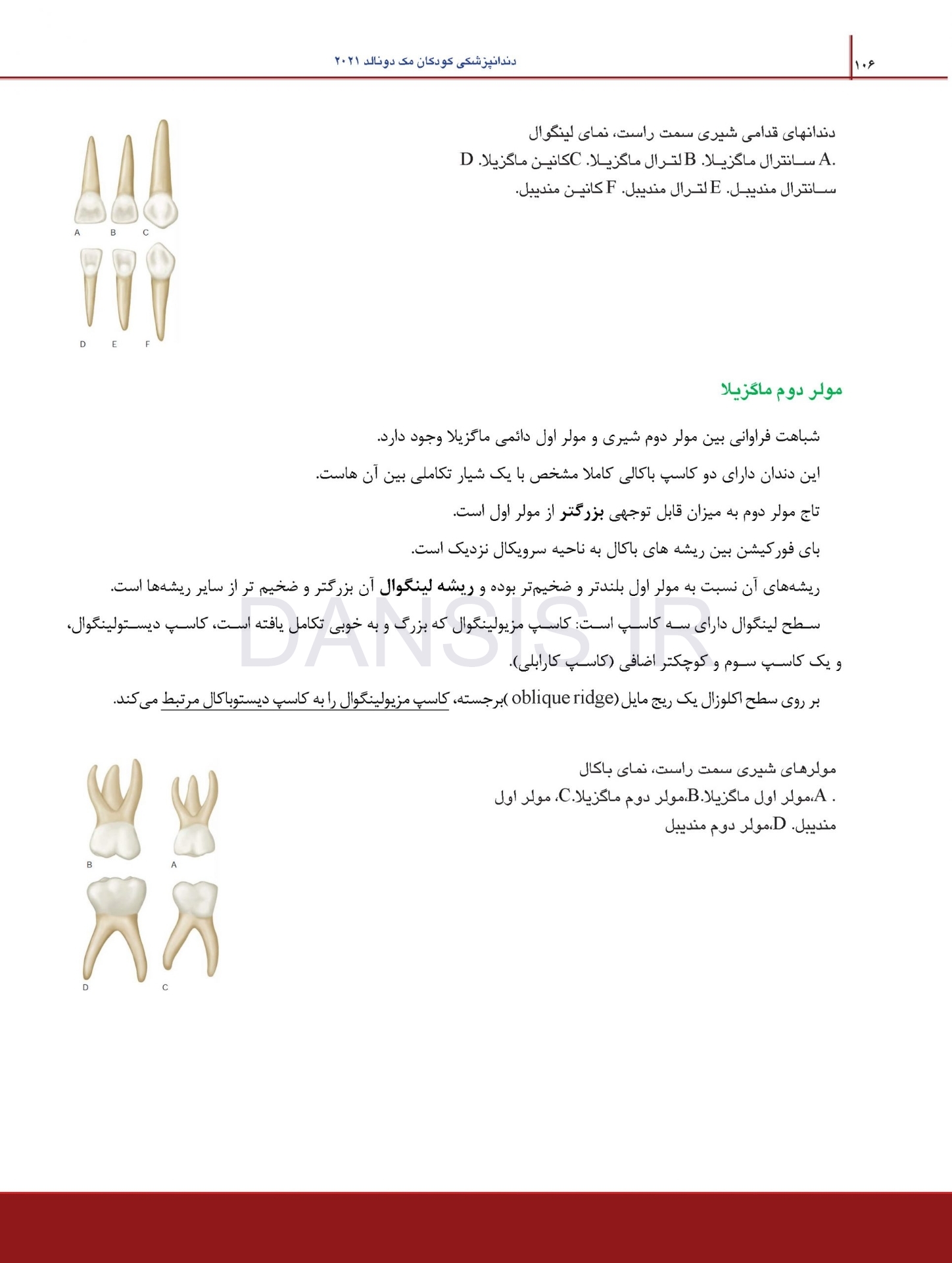 تصویر  درسنامه دندانپزشکی کودکان مک دونالد 2021 جلد 1 و 2