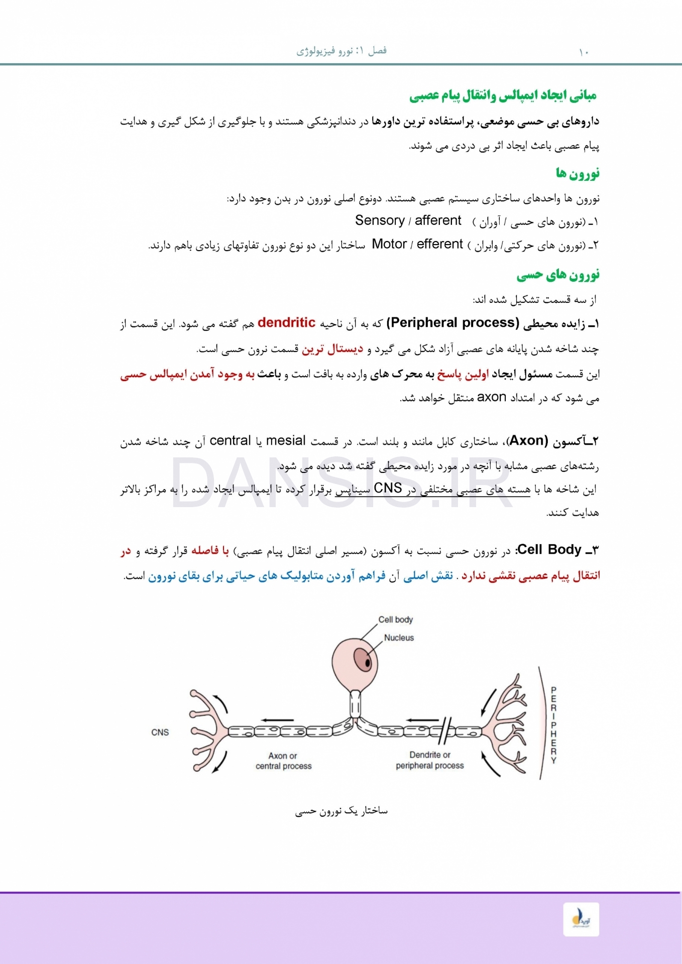 تصویر  درسنامه بی حسی موضعی مالامد 2019