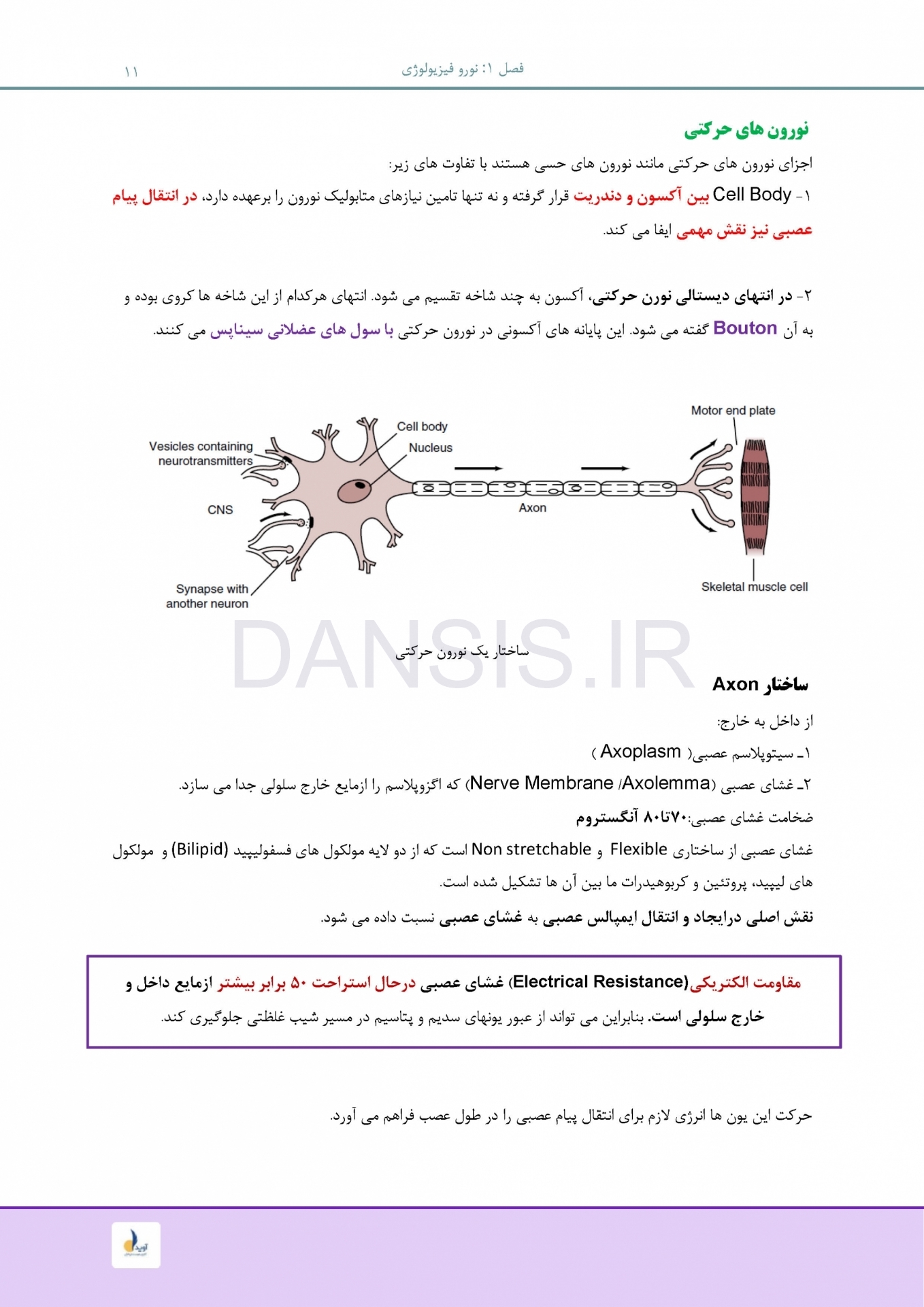 تصویر  درسنامه بی حسی موضعی مالامد 2019