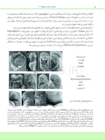 تصویر  درسنامه ارتودنسی معاصر پروفیت 2019 جلد 1 و 2 (همراه با فیلم آموزشی)