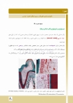 تصویر  درسنامه اندودانتیکس ترابی نژاد 2021 جلد 1 و 2 (همراه با فیلم آموزشی)