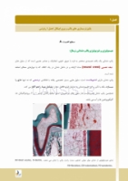 تصویر  درسنامه اندودانتیکس ترابی نژاد 2021 جلد 1 و 2 (همراه با فیلم آموزشی)