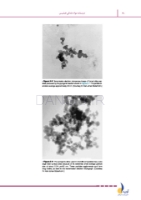 تصویر  درسنامه مواد دندانی (فیلیپس-کریگ) (رفرنس آزمون سال های گذشته)