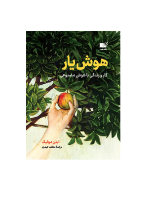 تصویر  کتاب هوش یار (استفاده از چت جی پی تی به عنوان دستیار)