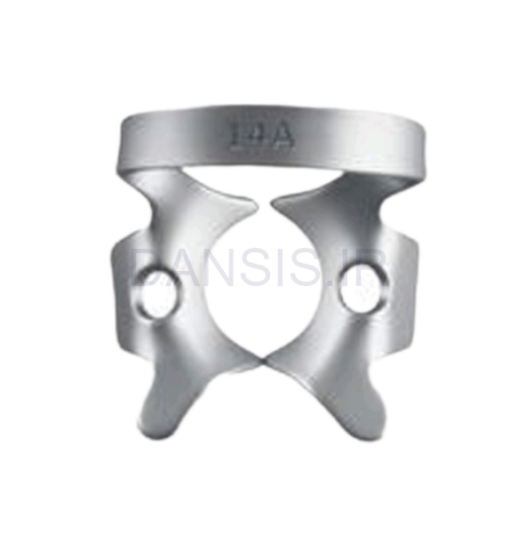 تصویر  کلمپ مولر نیمه روییده و بزرگ - فالکن